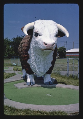 Bull front view, Fairway Golf, 1700 Como Avenue, St. Paul, Minnesota (LOC)  duplicate photo