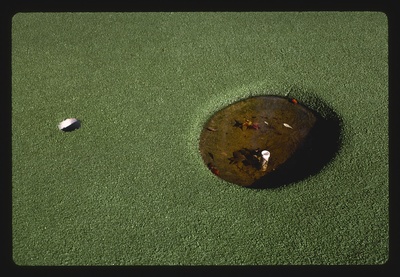 Big hole and small hole, Plantation Falls Legendary Golf, Hilton Head Island, South Carolina (LOC)  duplicate photo