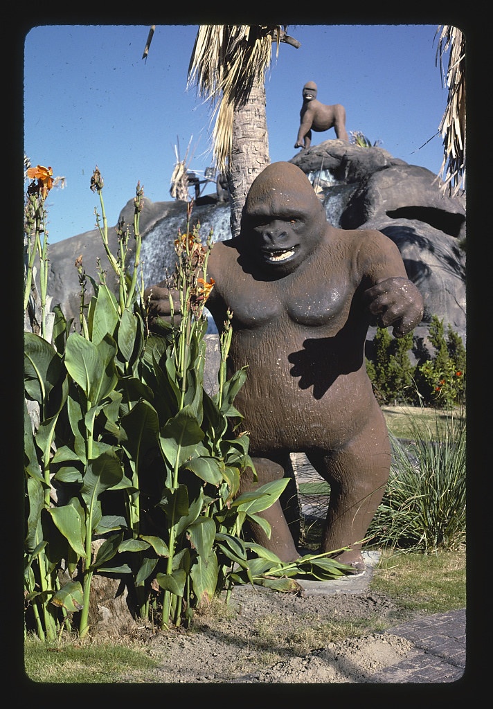 Gorillas, Gorilla Country Golf, Atlantic Beach, North Carolina (LOC)