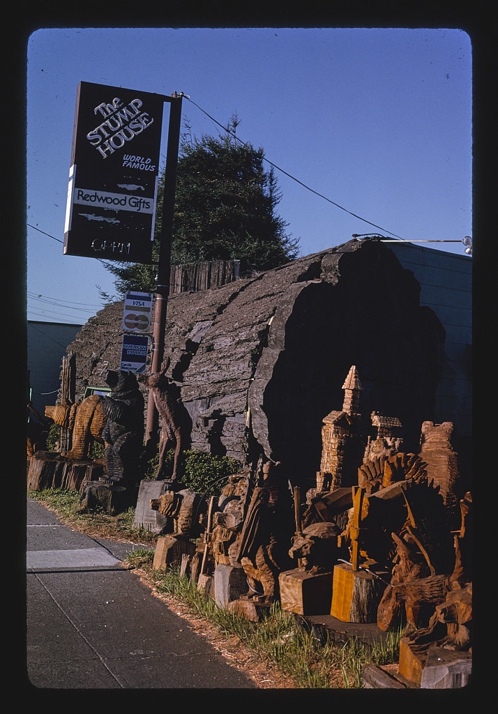 Stump House, Redwood Gifts, Route 101, Eureka, California (LOC)