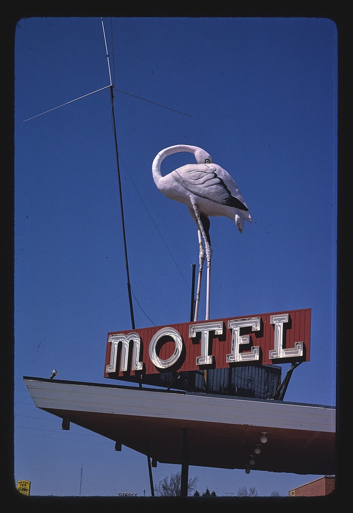 Flamingo Motel sign, Route 30, Marshalltown, Iowa (LOC)