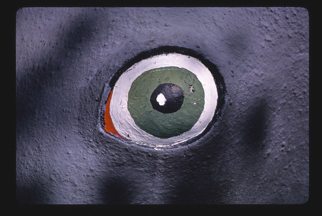Thunderbeast Park, platybelodon's eye, Route 97, Chiloquin, Oregon (LOC)