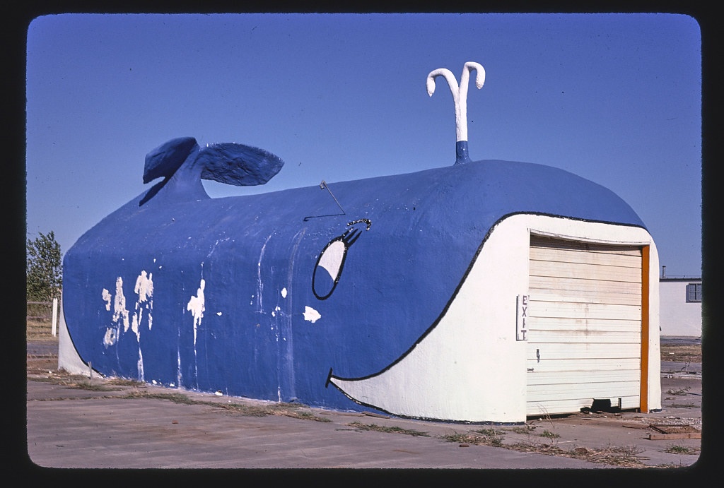 The Whale Car Wash, N. 50th & Meridian, Oklahoma City, Oklahoma (LOC)