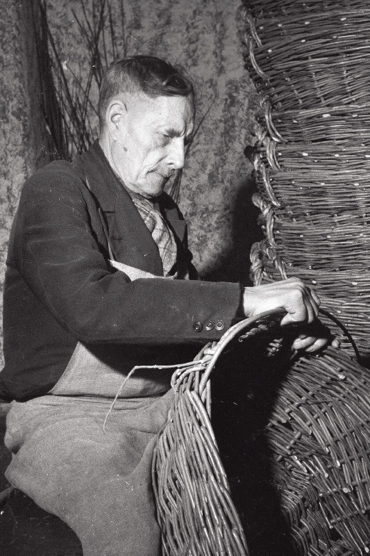 Kauaaegne Tallinna puukooli aednik pensionär E. Veeremäe Tallinna Heakorratrustile vitstest korve punumas.