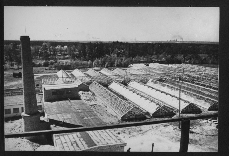 Vaade Mähe Aianduskombinaadi kasvuhoonetele.