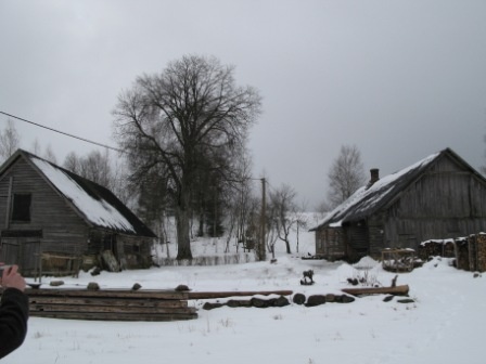 Mäetaguse küla, Kõrgemäe talu hooned