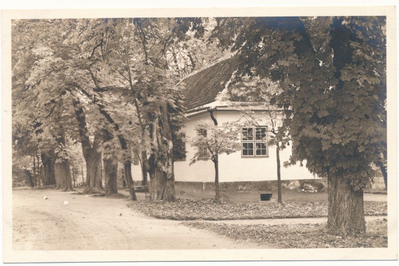 Postkaart. Tallinn, Kadriorg. Asub albumis HM 7955.