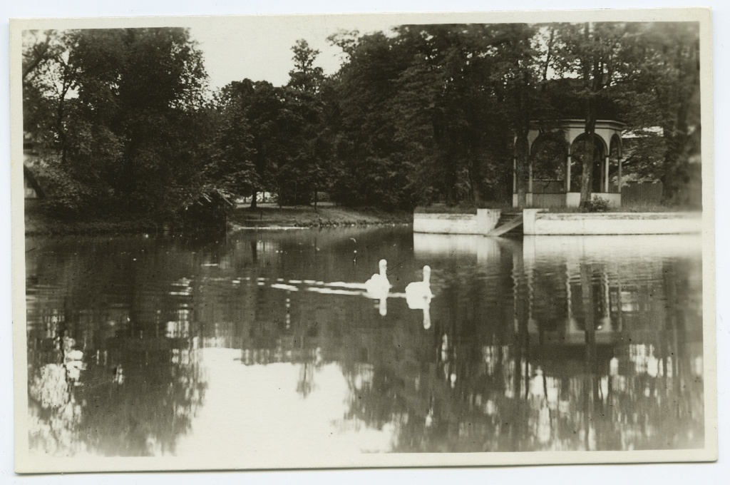 Tallinn, Kadriorg, tiik saarekese ja luikedega.
