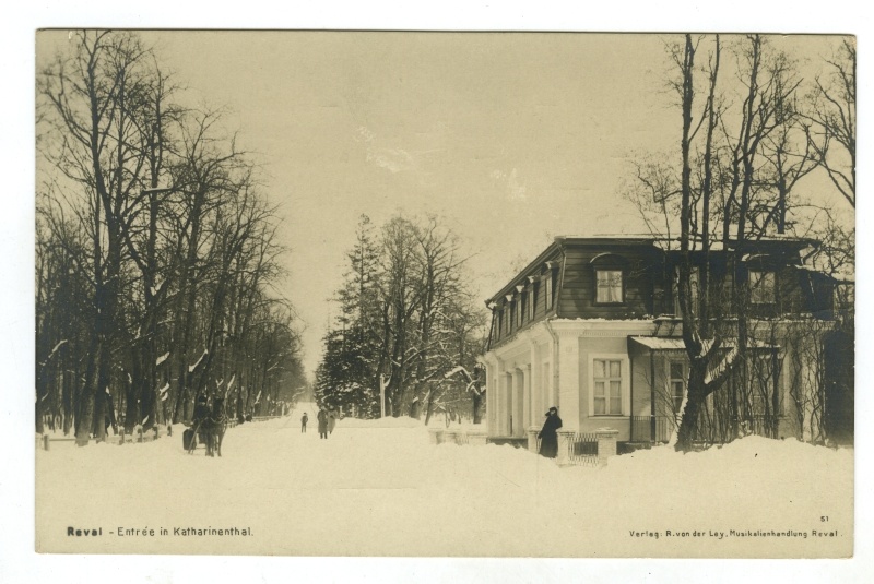 Tallinn. Kadriorg. Salongi (Weizenbergi) tänav talvel.