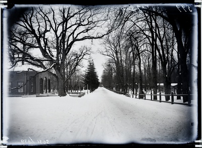 Kadriorg, Weizenbergi tänav.  duplicate photo