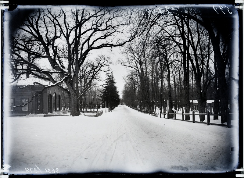 Kadriorg, Weizenbergi tänav.