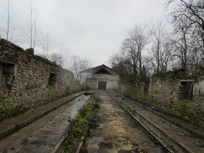 Ruins of the vine factory in the manor