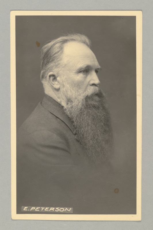 Ernst Peterson-Särgava.
