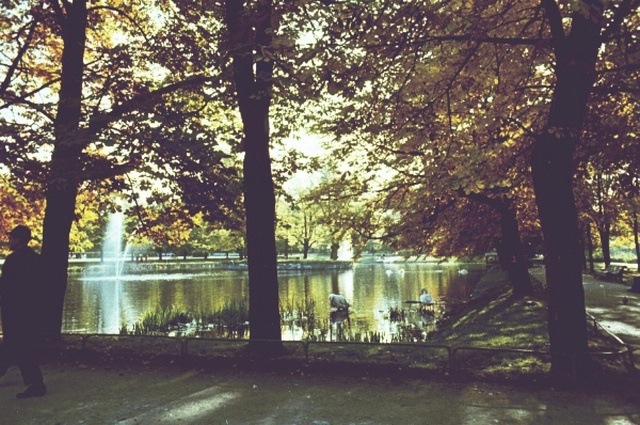 Tallinna vaade. Kadrioru tiik.