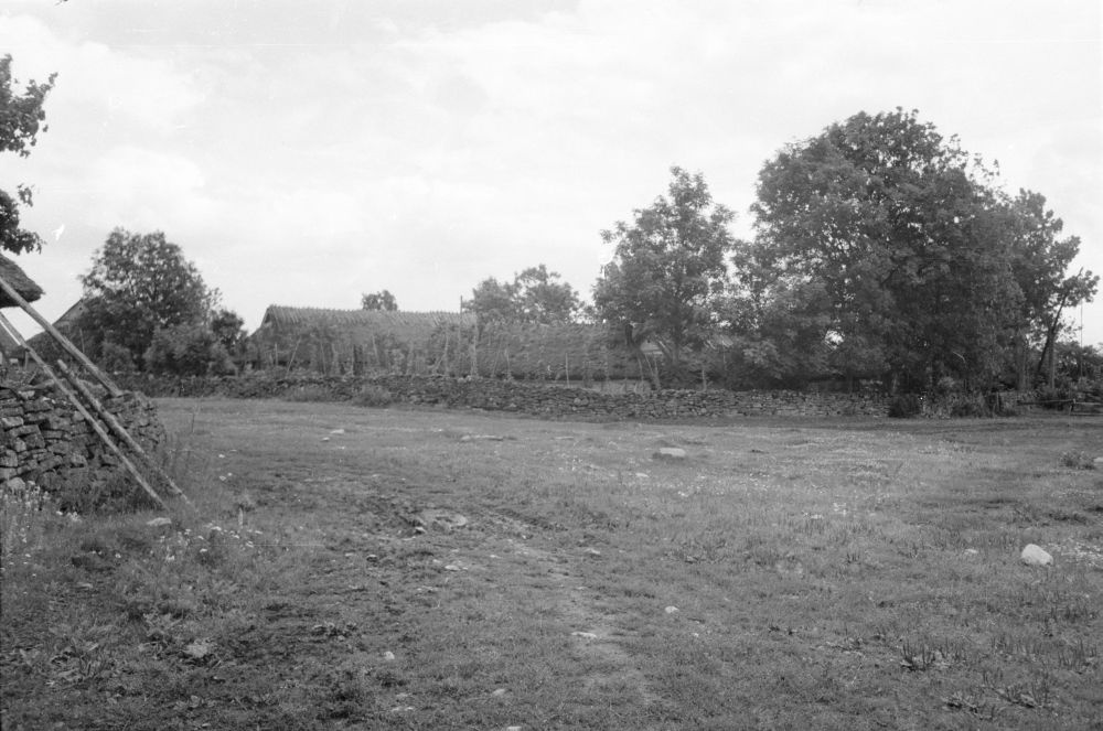 Sassi talu Liigalaskma külas.