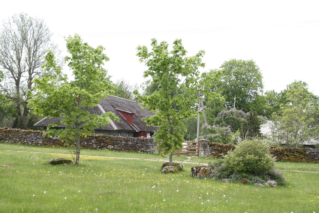 Liigalaskma küla, Sassi talu