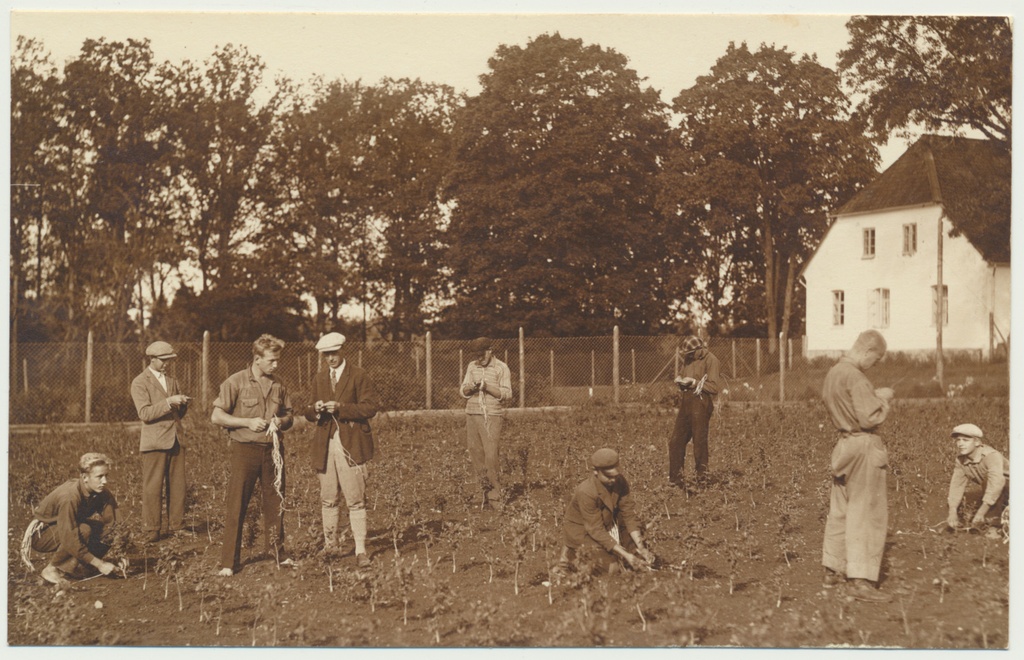 foto, Polli Põllutöökooli Morna aiatalu, õpilased istikute aias 1932