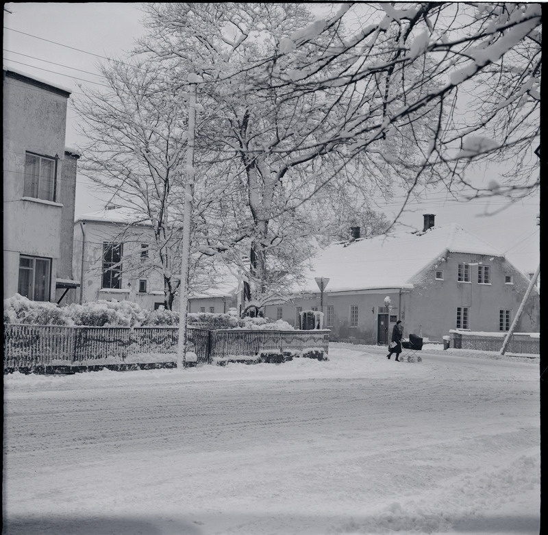 Tolli ja Pargi tänava ristmik