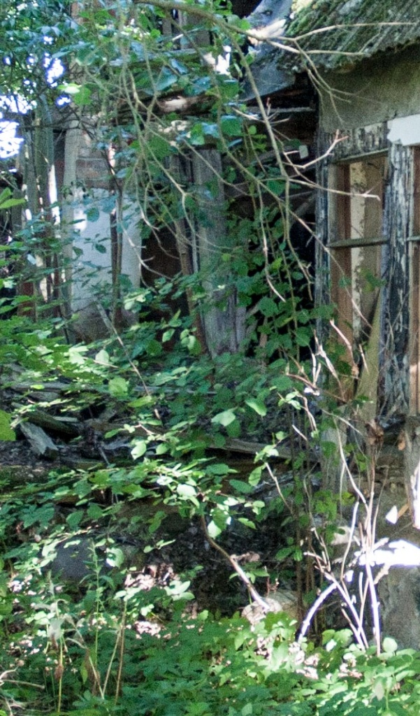 Rudolf Sirge Jaan Kärner at the opening of the memorial drawer 27. V 1961 rephoto