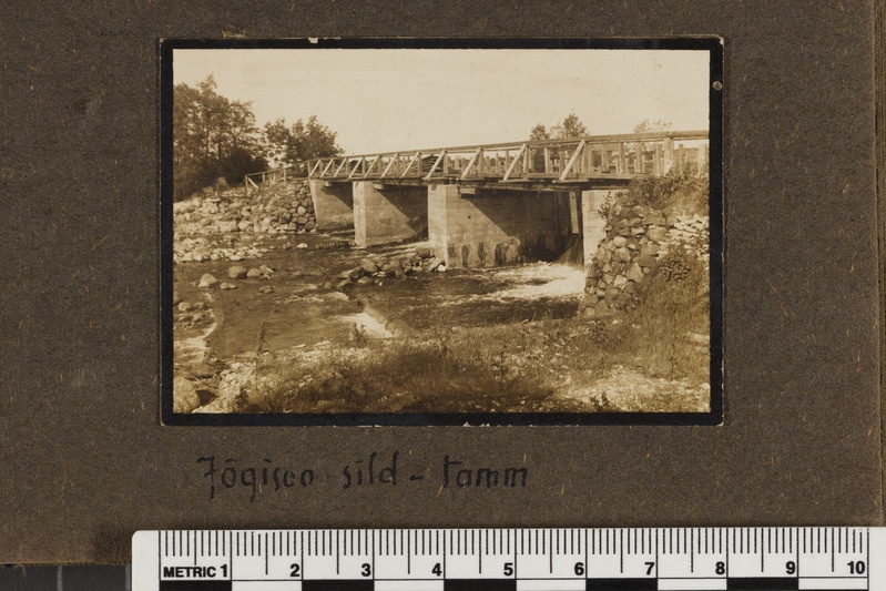 Jõgisoo sild - tamm