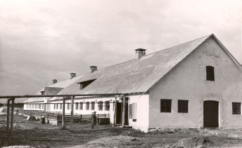 Sigala Viiratsi sovhoosis Viljandi rajoonis