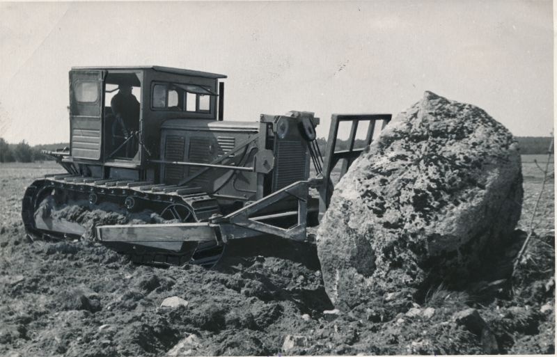 Foto. Hiiu masina-traktorijaama traktorist A. Koppel töötamas juurimismasinal. 1953. Foto V. Gorbunov.