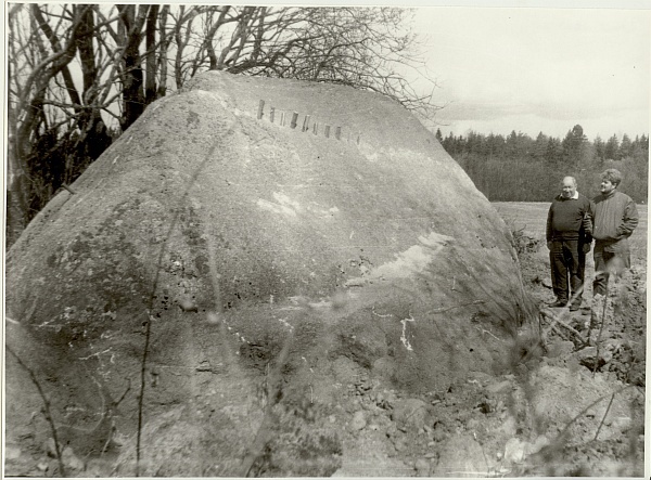 foto,  kivi, millest murti Tammsaare monumendi ja Vabadussõja ausamba rahnud, 1992