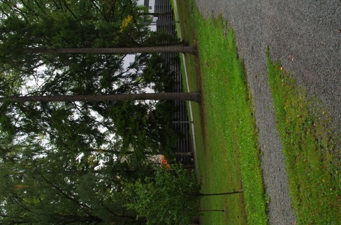 Rakvere, park Kastani ja Kingissepa tänava vahel rephoto