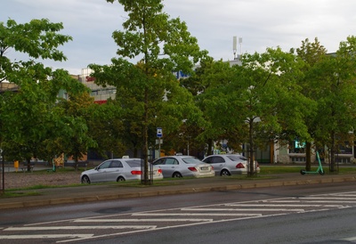 Eesti keele seaduse ning demokraatliku põhiseaduse ja valimisseaduse toetamise miiting Turu platsil Rakveres. rephoto
