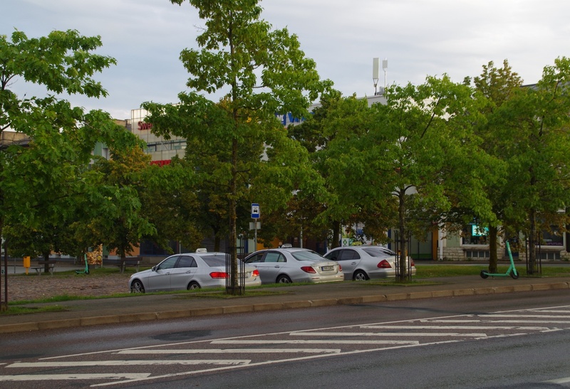 Eesti keele seaduse ning demokraatliku põhiseaduse ja valimisseaduse toetamise miiting Turu platsil Rakveres. rephoto