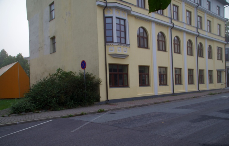 Virumaa laulupeo rongkäik rephoto