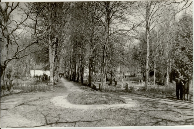 foto Ambla surnuaed 1987