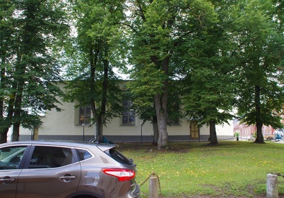 Vaade Rakvere kirikule: esiplaanil - puud rephoto