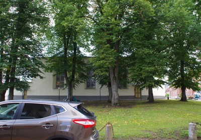 Vaade Rakvere kirikule: esiplaanil - puud rephoto