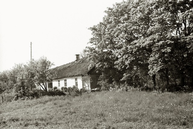 Saare County Orissaare County Maasi village