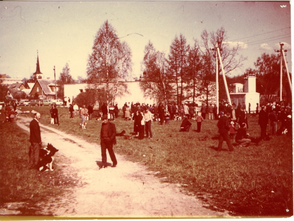 foto, Jahikoerte näitus Paides  1985.a.