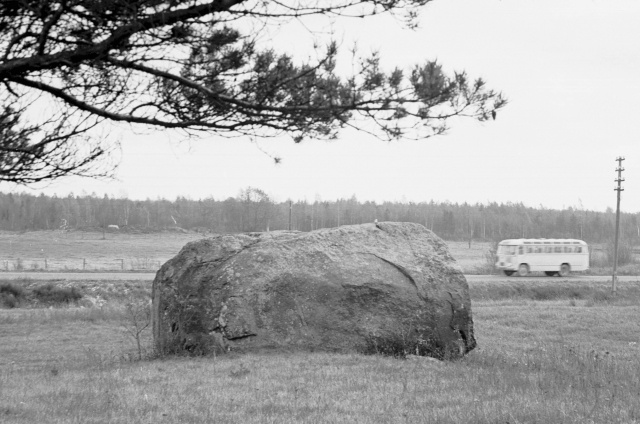 Hiiumaa maastik. Suur kivi maantee ääres.