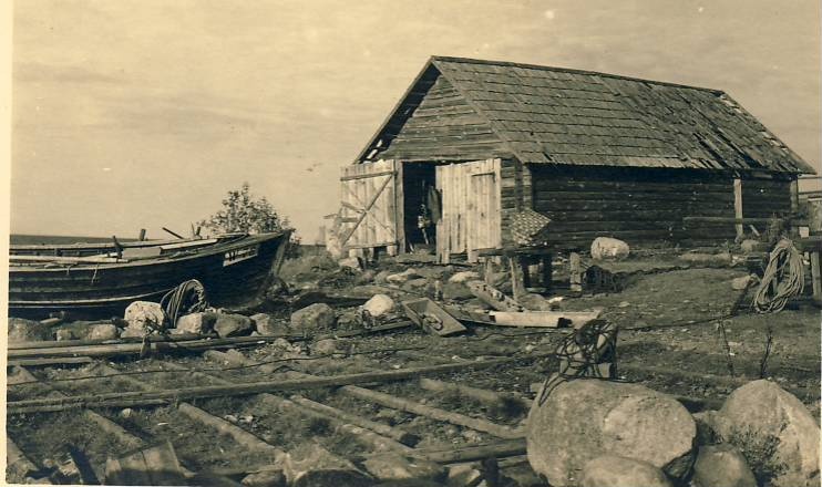 Altja võrgukuur