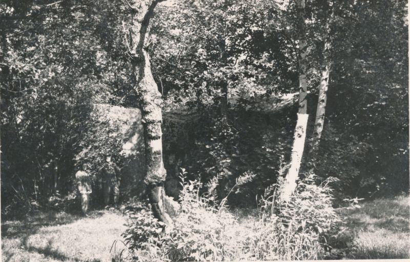Foto. "Kukka" kivi Hiiumaal. Rändrahn ümbermõõduga 42m. 1965 aug. Fotogr. R. Kalk.