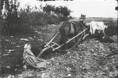 Saaremaa naised põllutööl.  duplicate photo