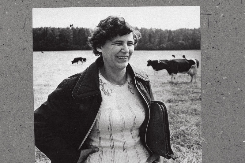 Vabariigi parim karjakasvataja, Lenini, Tööpunalipu ja "Austuse märgi" ordeniga autasustatud Silvia Pallon Rakvere rajooni Põdrangu sovhoosist.