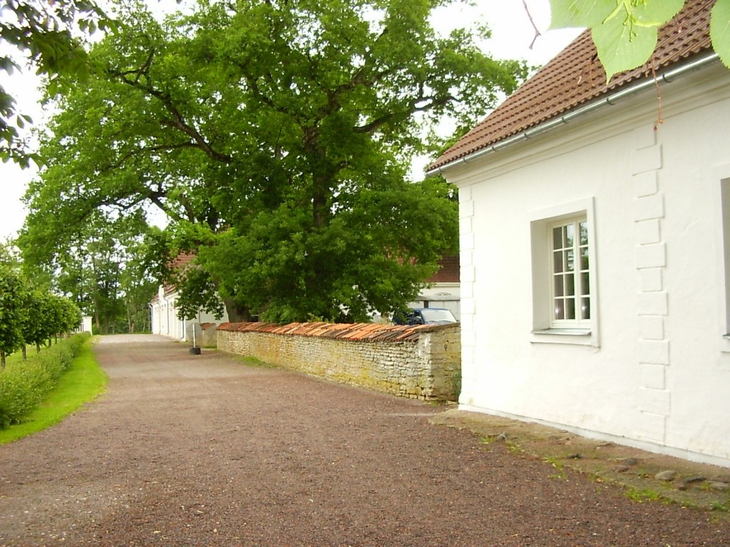 Border walls of Sagadi Manor