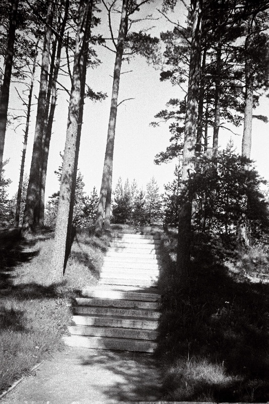 Kirjanik Lydia Koidula haua juurde viiv trepistik Metsakalmistul.