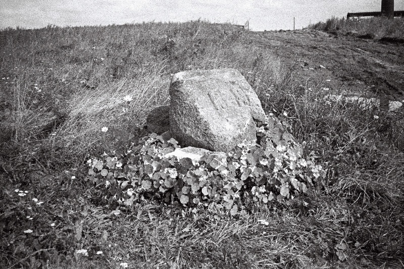 1343 a Jüriöö ülestõusu mälestuskivi Sõjamäel.