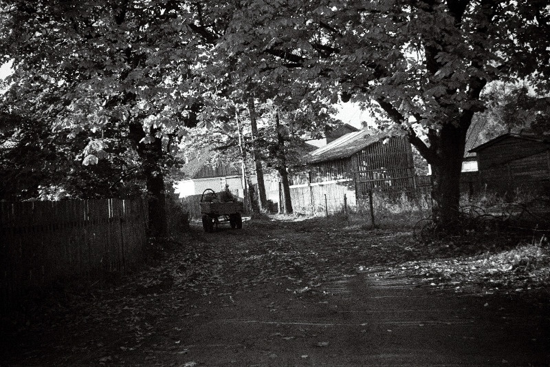 Tänav Mustjõe linnaosas.