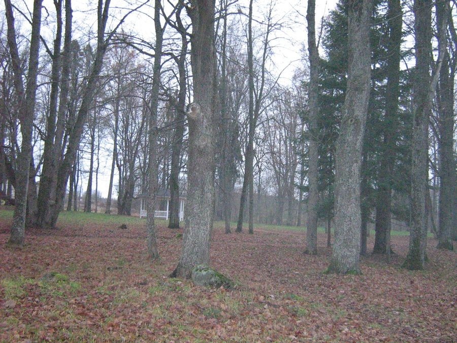 Hummuli Manor Park