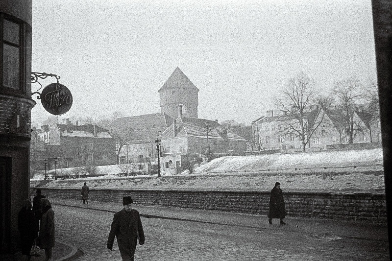 Vaade Harju tänava haljasalale.