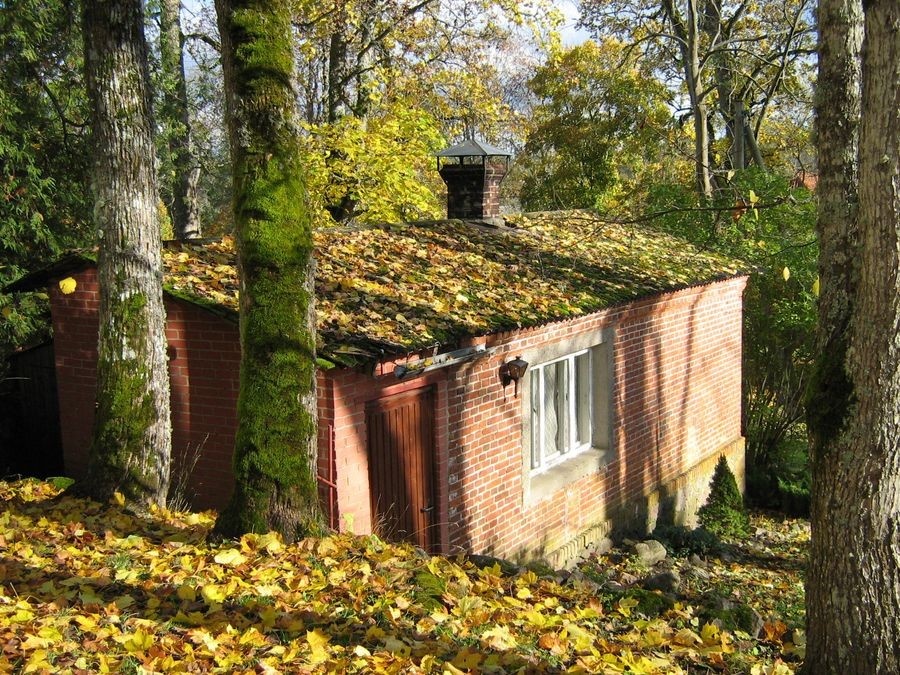 Taagepera Manor Birdhouse