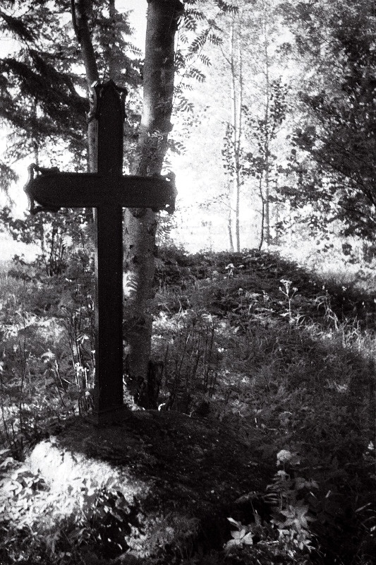Viimase rootslasest saareelaniku hauarist.