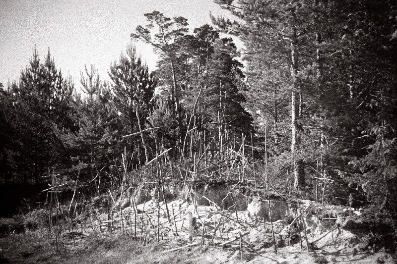 Ristimägi Kärdla-Kõrgessaare tee ääres.